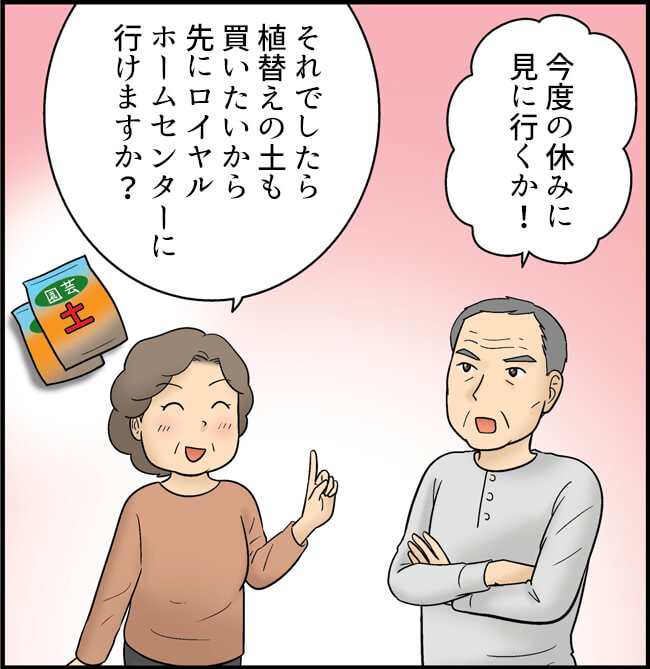 おじいさん「今度の休みに見に行くか！」おばあさん「それでしたら植え替えの土も買いたいから先にロイヤルホームセンターに行けますか？」